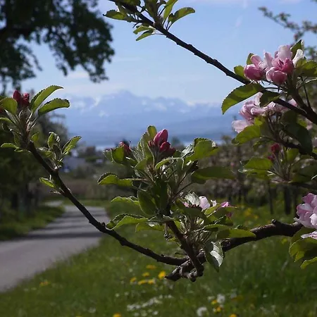 Haus Alpenblick アパート インメンシュタート・アム・ボーデンゼー
