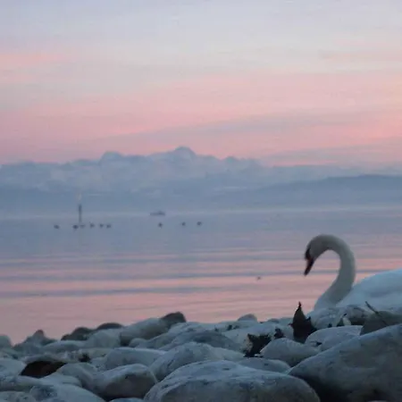 Haus Alpenblick * Immenstaad am Bodensee