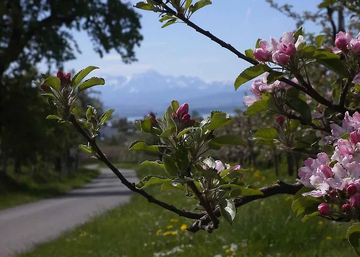 Haus Alpenblick شقة اممنستاد ام بودينسي