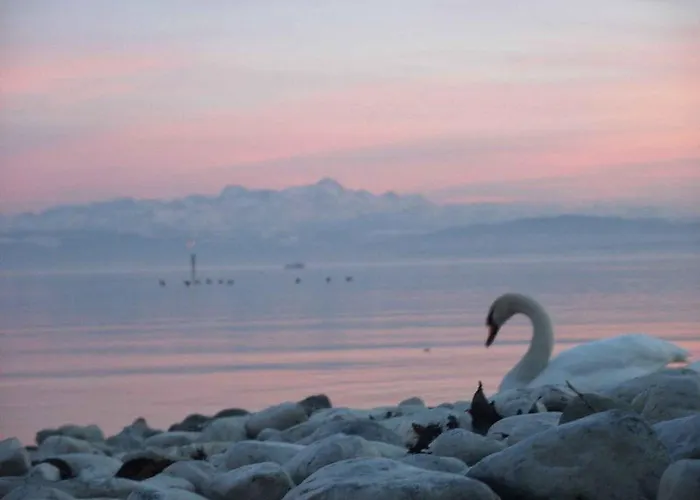 Haus Alpenblick * اممنستاد ام بودينسي